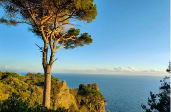 Wanderung von Portofino nach Cala degli Inglesi