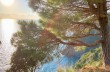 Wanderung von Portofino nach Cala degli Inglesi