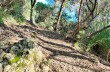 Wanderung von Portofino nach Cala degli Inglesi