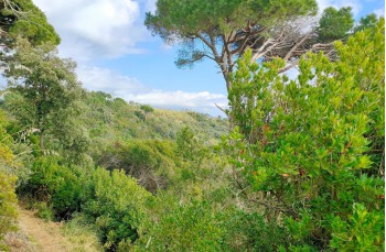 Wanderung von Portofino nach Cala degli Inglesi