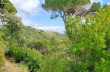 Wanderung von Portofino nach Cala degli Inglesi