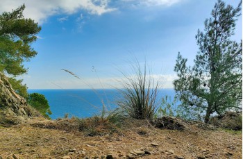 Wanderung von Portofino nach Cala degli Inglesi
