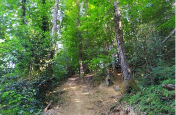 Spaziergang auf dem Monte di Portofino ab Nozarego