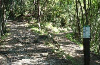 Kurzer Wanderweg von Portofino Vetta zum Semaforo Vecchio