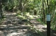 Footpaths from Portofino vetta to Semaforo vecchio