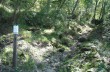 Weg von Santa Margherita Ligure nach Portofino Vetta