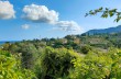 Passeggiata a piedi da Rapallo a Santa Margherita Ligure