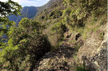 Rundweg Portofino Vetta - Pietre strette - Semaforo nuovo