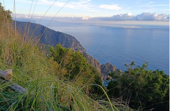 Circular trail Trail Portofino Vetta - Pietre strette - Semaforo nuovo