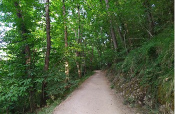 Itinéraire en boucle Portofino Vetta - Pietre strette - Semaforo nuovo