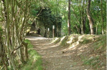 Rundweg Portofino Vetta - Pietre strette - Semaforo nuovo