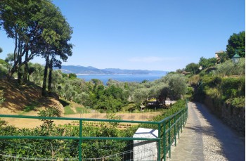 Da Nozarego a Portofino
