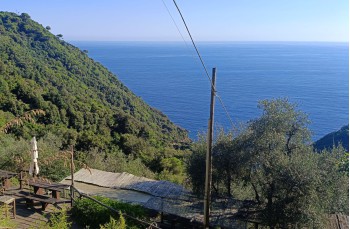 De Camogli à San Fruttuoso à travers les sentiers du Parc de Portofino.
