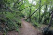 Trail von Camogli nach San Fruttuoso di Camogli