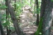 Rundweg von Santa Margherita Ligure über Costasecca und Nozarego