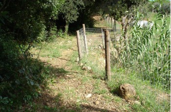 Rundweg von Santa Margherita Ligure über Costasecca und Nozarego