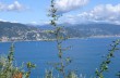 Rundwanderung auf dem Monte di Portofino mit Start in Nozarego