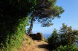 Wanderung von Paraggi nach Cala degli Inglesi