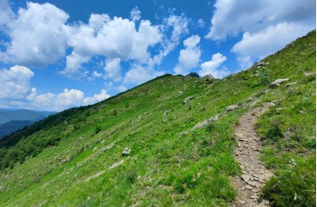 Trail von Rapallo nach Montallegro bis Monte Ramaceto