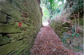 Trail von Rapallo nach Montallegro bis Monte Ramaceto