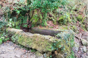 Trail von Rapallo nach Montallegro bis Monte Ramaceto