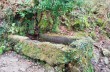 Trail von Rapallo nach Montallegro bis Monte Ramaceto