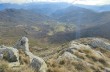 Trail von Rapallo nach Montallegro bis Monte Ramaceto