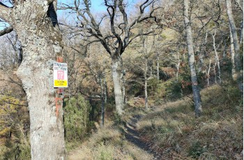 Trail von Rapallo nach Montallegro bis Monte Ramaceto