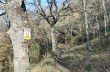 Trail von Rapallo nach Montallegro bis Monte Ramaceto