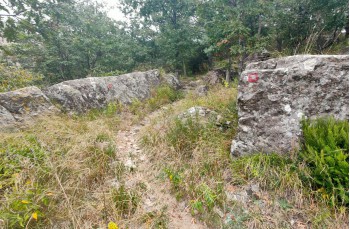 Trail von Rapallo nach Montallegro bis Monte Ramaceto