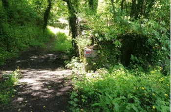 Trail von Rapallo nach Montallegro bis Monte Ramaceto