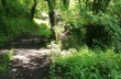 Trail von Rapallo nach Montallegro bis Monte Ramaceto