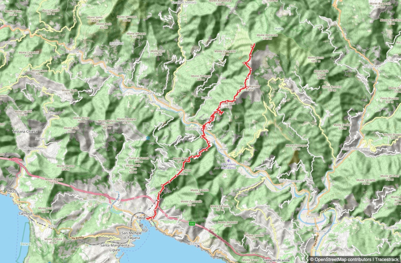 Trail von Rapallo nach Montallegro bis Monte Ramaceto