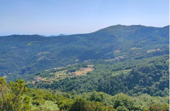 Trail from Villagrande di Cichero to the "Pria scrita".
