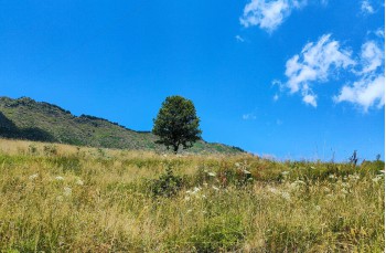 Trail da Villagrande di Cichero alla Pria scrita.