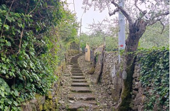 Weg von Santa Margherita Ligure nach Portofino Vetta
