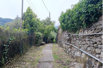 Trekking von Santa Margherita Ligure nach San Fruttuoso di Camogli