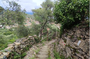 Panoramawanderung im Naturpark Portofino