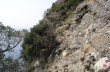 Escursione panoramica nel Parco di Portofino