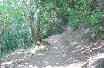 Rundweg von Portofino Vetta nach San Rocco di Camogli