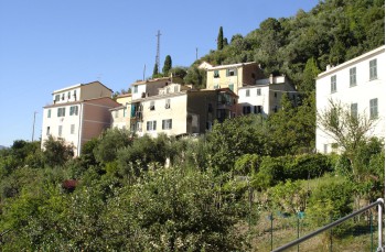 Rundweg von Portofino Vetta nach San Rocco di Camogli