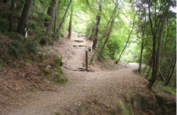 Rundweg von Portofino Vetta nach San Rocco di Camogli