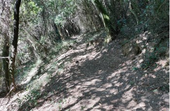 Trekking von San Fruttuoso di Camogli zur Höhe des Monte di Portofino