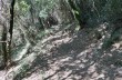 Trekking von San Fruttuoso di Camogli zur Höhe des Monte di Portofino