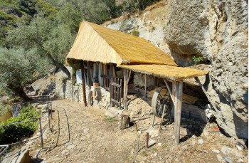 Trekking von San Fruttuoso di Camogli zur Höhe des Monte di Portofino