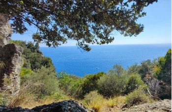 Trekking von San Fruttuoso di Camogli zur Höhe des Monte di Portofino