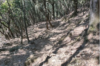 Trekking von San Fruttuoso di Camogli zur Höhe des Monte di Portofino