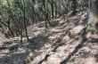 Trekking von San Fruttuoso di Camogli zur Höhe des Monte di Portofino