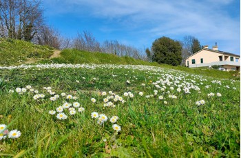 Rundweg der 5 Türme von Chiavari