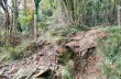 Trail von Rapallo nach Chiavari über Montallegro